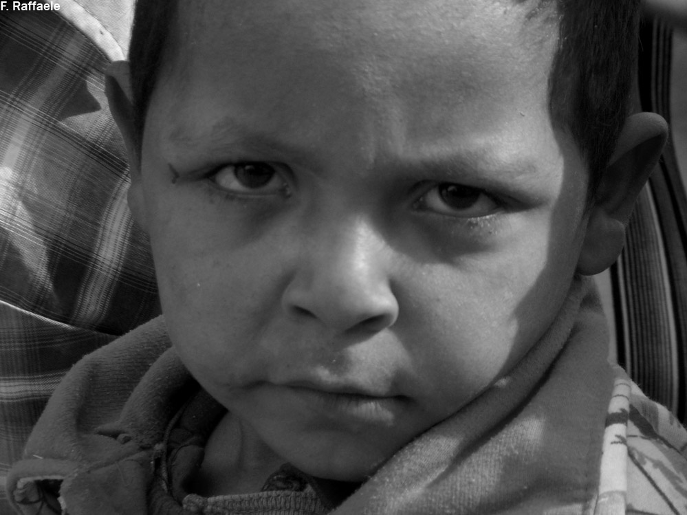 bambino o Gambino?