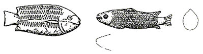 Fig. 3: Example of a. Tilapiae, b. Mullet from the Naqada Tomb.