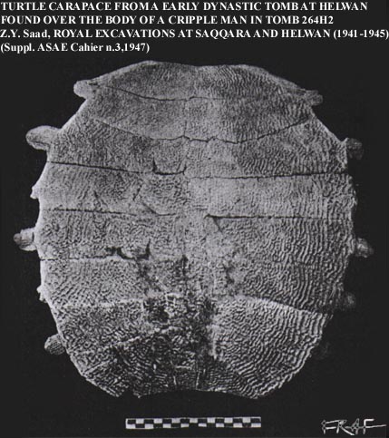 FIG. 4: Land-tortoise carapace from Helwan 264H2 tomb (Saad, op. cit. in the figure, pl. 47)