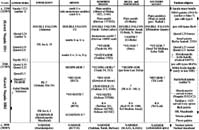 Chronological table of Naqada IIIB