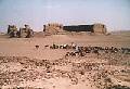 The Fort