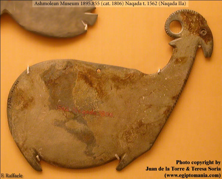 Ashmolean Mus. Oxford 1895.855 from Naqada tomb 1562 (Thanks to Juan de la Torre and Teresa Soria for this photo)