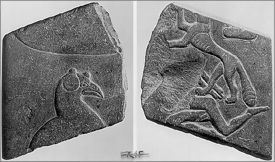 Photo of the Lucerne fragment of the Vultures palette