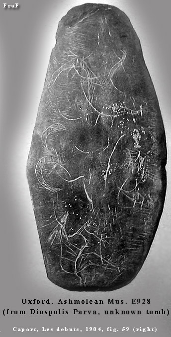 Ashmolean Museum (Oxford)