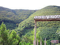 La fitta vegetazione del massiccio del Taburno-Camposauro