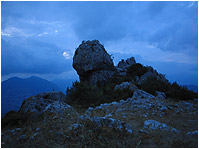 La Leonessa dell' Appennino meridionale di notte va a dormire!