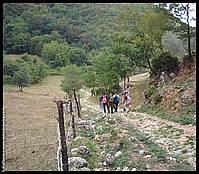 si  parte