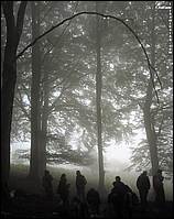 Monte Erbano/Monaco di Gioia (Gioia Sannitica - Civitella Licinio)