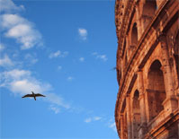 Roma, Colosseo