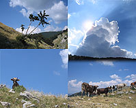 Cielo e Terra