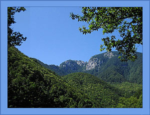 Il monte Accellica: per questa volta non siamo riusciti (evento piu' unico che raro) a raggiungere una delle cime, ma  riproveremo la prossima primavera ad ammirare piu' da vicino la "Guglia del Ninno"