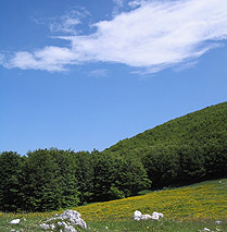 BOCCA DELLA SELVA - MONTE MUTRIA - PALOMBARO (e tanta acqua...)