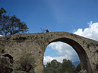 (PAESTUM)  FELITTO