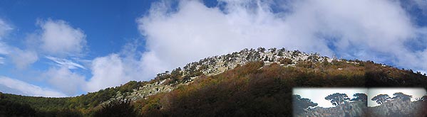 ancora uno sguardo verso l'alto