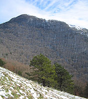 Il Monte Taburno, il 1° pranzo LM e passeggiata notturna a Tocco Caudio