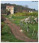 Fragneto_P1200608b.jpg