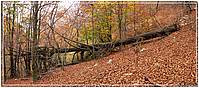 Janara_P1200291-92a.jpg