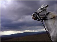 Sorpassando il cavallo