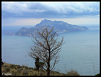 Capri