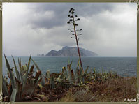 Capri
