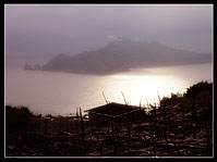 L'isola di Capri vista da Termini