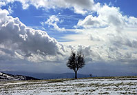 Regio Tratturo (Buonalbergo-Mt. Chiodo)