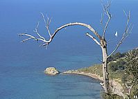 Agropoli-Tresino_P1270849a.jpg