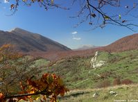 Al centro sullo sfondo La Gallinola, tra il versante Nord del Mutria e il Pesco Rosito / Tre Confini