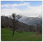 Cusano-Erbano-P1260257-58brkt.jpg