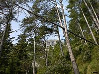 Frana_mtCatiello-P1280852a.jpg