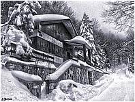 Mutria-P1230629b.jpg