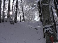 A pochi secondi dall'arrivo sul Palombaro (1552m)