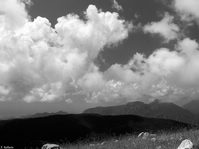 Raiamagra_P1340241c.jpg