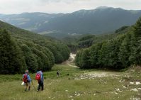 Raiamagra_P1340274a.jpg