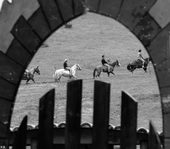 Raiamagra_P1340306b.jpg