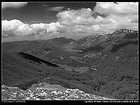 SPerrone-Mutria-P1290373b.jpg
