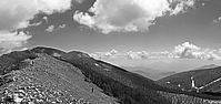 SPerrone-Mutria-P1290383-84b.jpg