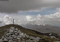 SPerrone-Mutria-P1290431a.jpg