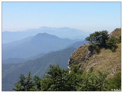 In lontananza il Monte S. Angelo a Tre Pizzi (Monti Lattari)