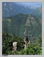 Cima del monte Serralonga (più dietro le Camerelle e Montella)