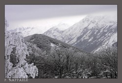 L'altra cima del Mt. Porco e, sullo sfondo a ds, La Gallinola