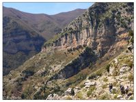 L'ultimo tratto di salita Pellagra - Punta delle Castagne