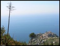 Corniglia