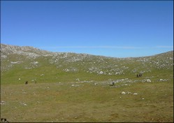 Ampia dolina sotto la cima della Gallinola