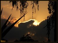 Alba al Poggio Vallesana ( Marano)