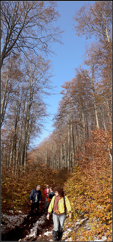 colori d'autunno