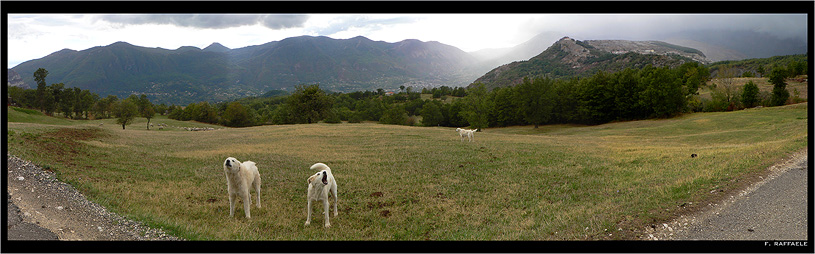 ... non c'e' stato bisogno di entrare in macchina: si sono fermati a pochi metri da me.