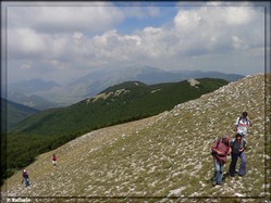 Il Lago Matese sullo sfondo (Macchia Strinata)