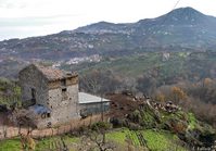 Fattoria presso la Chiesa di S. Cosimo