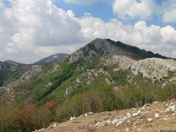 Costa S. Martino - Pizzuta. Sullo sfondo a sin. il Mt. Erbano